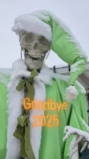 Happy New Year Everyone! Here's wishing you a year of blue skies and joyful moments all year long! 🥳😎🤩🌞